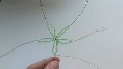 ciclamen conservatie microni