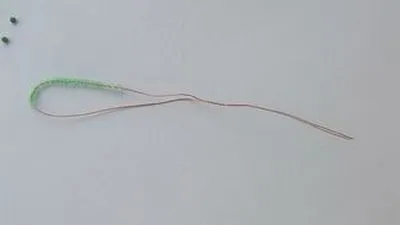 ciclamen conservatie microni