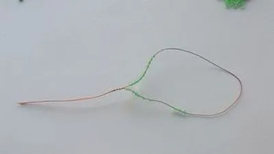 ciclamen conservatie microni