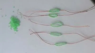 ciclamen conservatie microni