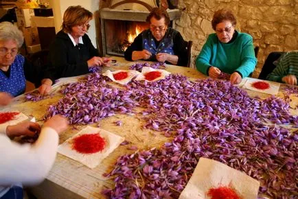 Ideea de afaceri pentru creștere șofran - cele mai bune idei de afaceri