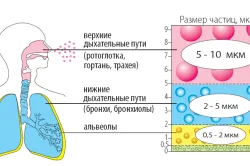 Simptomele bronhospasmului la copii și cum să eliminați