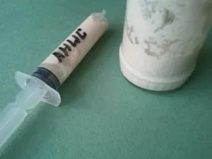Vorbăreț de rețete pentru pescuit gris - Video Cum de a găti, stick-ul și de captură (grisul) Vorbăreț de rețete pentru pescuit gris - Video Cum de a găti, stick-ul de captură și