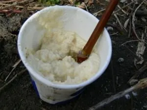Batter rețete de momeli pentru pescuit - video, cum să gătească, stick-ul și de captură (temperatura apei camerei) Vorbăreț de rețete pentru pescuit gris - Video Cum de a găti, stick-ul de captură și