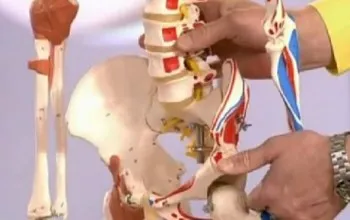 Durere în partea din spate renunță la cauze, tratament, prevenire