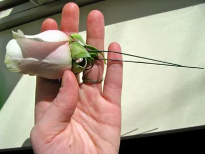 Boutonniere cu mâinile lor materiale și o colecție de inspirație a face