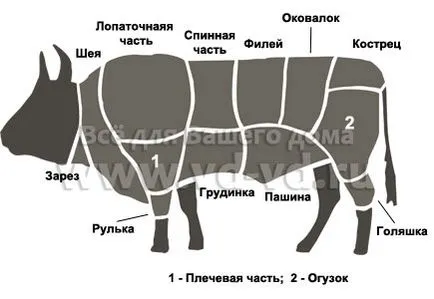 Anumite părți ale carcasei de carne de vită, de tranșare, dezosare, carne, totul pentru casa ta (dezosare) Anumite părți ale carcasei de carne de vită, de tranșare, dezosare, carne, totul pentru casa ta