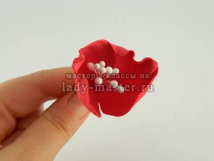 Boutonniere pe o parte, la absolvire, de master - clasa cu fotografii, pas cu pas