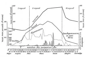 Alimentarea pe albine și ceea ce le place