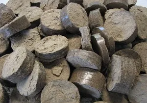 Solul proces în toamna împotriva bolilor și dăunătorilor sfaturi