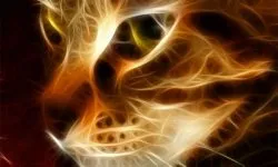 Negru vraja modul de a face propriile, efectele sale