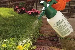 Cu cât este mai apă iarbă să-l păstrați de la creșterea plantelor magice