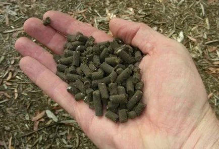 Murdărirea Ardeii după plantare etape de bază