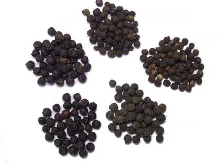 Piper negru - beneficii si rau, utilizate în medicină, cultivarea