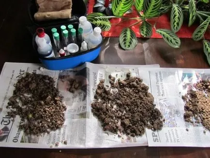 Cum de a fertiliza ghivece cu plante în casă 1
