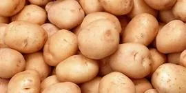 Acest lucru poate fi plantat dupa morcovi - alege video de legume