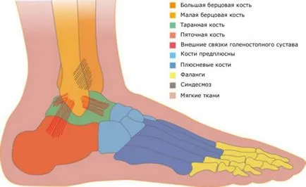 Ce să facă primul ajutor și tratament (ligamente) ligamentului picior de tracțiune Ce să faci când a ligamentelor intinse ale ajutorului primul picior și tratament