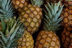 Ceea ce pentru a planta într-un cimitir, fără udarea plantelor magice