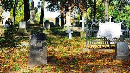 Ceea ce pentru a planta într-un cimitir, un blog despre flora (plante) Ceea ce pentru a planta într-un cimitir, un blog despre flora