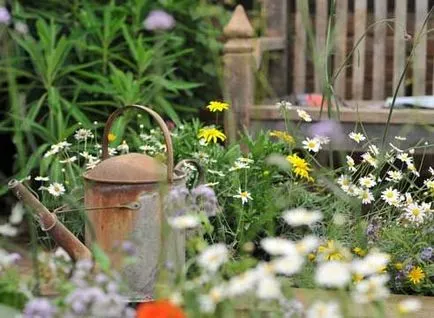 Ceea ce pentru a planta într-un cimitir în text și fotografie