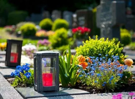 Ceea ce pentru a planta într-un cimitir în text și fotografie