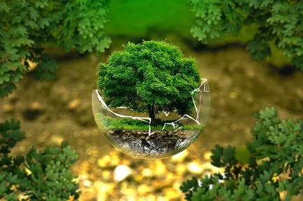 Ce este ecologia și de ce este nevoie