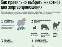 Ce este Eid și modul în care este celebrat, de ajutor, întrebare-răspuns, argumente și fapte