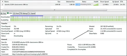 Care este sărbătorile și LED-urile din Torrent (Torrent) Care este sărbătorile și LED-urile din torrent