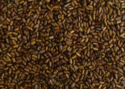 Ce este o cafea boabe din China