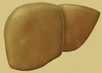Care sunt simptomele de steatoză hepatică, tratamentul de remedii populare și medicamente