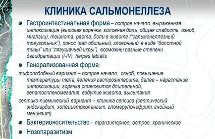 Ce este salmoneloza - modul în care este transferat, perioada de incubație a agentului patogen, prevenirea bolilor