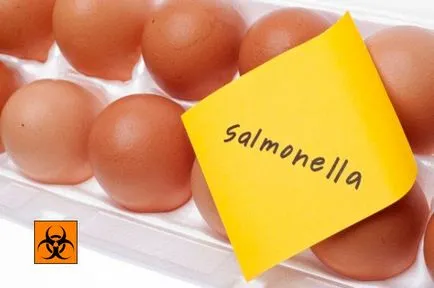 Ce este salmoneloza - modul în care este transferat, perioada de incubație a agentului patogen, prevenirea bolilor