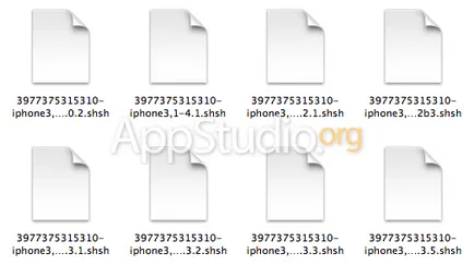 Ce este un SHSH hash - appstudio proiect