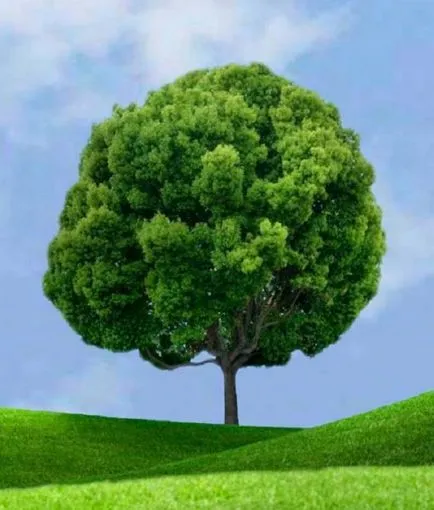 Ce vezi în această imagine a lumii interesante () Ce vezi în această imagine a lumii interesante