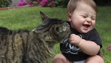 Ca în cazul în care nu există apă să se spele Ca în cazul în care nu există apă să se spele