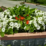 grădină de flori în țară cu propriile lor mâini - proiectare, tipuri, idei de design, diagrame, opțiuni (grădină de flori) grădină de flori în țară cu propriile lor mâini - proiectare, tipuri, idei de design, diagrame, opțiuni