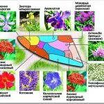 grădină de flori în țară cu propriile lor mâini - proiectare, tipuri, idei de design, diagrame, opțiuni (lor) grădină de flori în țară cu propriile lor mâini - proiectare, tipuri, idei de design, diagrame, opțiuni