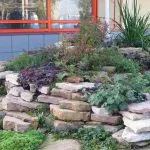 grădină de flori în țară cu propriile lor mâini - proiectare, tipuri, idei de design, diagrame, opțiuni (grădină de flori) grădină de flori în țară cu propriile lor mâini - proiectare, tipuri, idei de design, diagrame, opțiuni