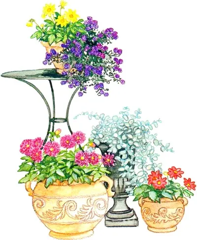 Dahlia de flori