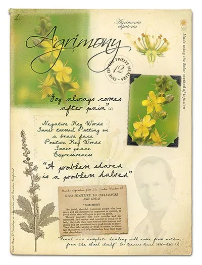 Bach Flower Essences