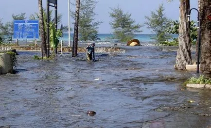 Tsunami-ul din Thailanda în 2004 descriere, fotografii, film