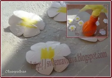 Flori de hartie, artiști de țară