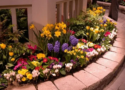 grădină de flori în țară cu propriile lor mâini - proiectare, tipuri, idei de design, diagrame, opțiuni (grădină de flori) grădină de flori în țară cu propriile lor mâini - proiectare, tipuri, idei de design, diagrame, opțiuni