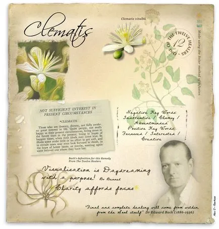 Bach Flower Essences