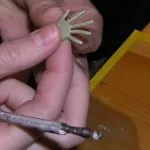 Noi facem mâinile pentru păpuși, cursuri de master