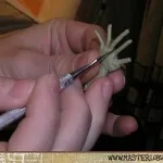 Noi facem mâinile pentru păpuși, cursuri de master