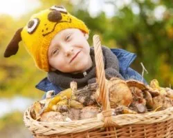 Copii despre ciuperci comestibile și otrăvitoare cu numele și descrieri (prăjește bucătar marinat) Copii despre ciuperci comestibile și otrăvitoare cu denumirile și descrierile
