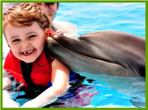 Terapia Dolphin sau ca delfinii trata oamenii (delfin) Terapia Dolphin sau ca delfinii trata oamenii