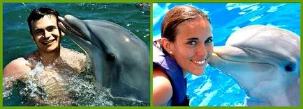 Terapia Dolphin sau ca delfinii trata oamenii (oameni) Terapia Dolphin sau ca delfinii trata oamenii