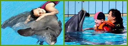 Terapia Dolphin sau ca delfinii trata oamenii (oameni) Terapia Dolphin sau ca delfinii trata oamenii